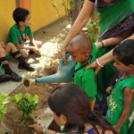 Save Tree Day 2019