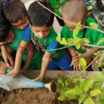 Save Tree Day 2019