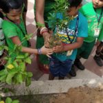 Save Tree Day 2019
