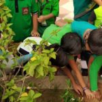 Save Tree Day 2019