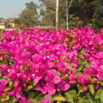 Educational Tour 2019