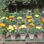 Educational Tour 2019