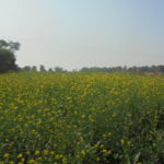 Educational Tour 2019