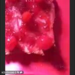 Red Day Celebration in U.P. Foundation School, Suri (21)