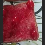 Red Day Celebration in U.P. Foundation School, Suri (22)