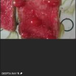 Red Day Celebration in U.P. Foundation School, Suri (26)