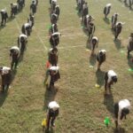 WhatsApp Image 2021-12-09 at 11.55.14 AM