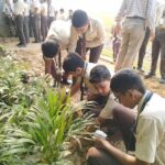 WhatsApp Image 2022-10-19 at 11.00.10 AM (1)