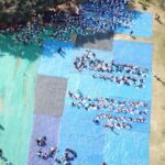 WhatsApp Image 2025-01-13 at 12.20.13 PM (1)