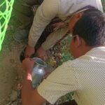 WhatsApp Image 2025-02-08 at 3.22.06 PM (1)