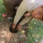 WhatsApp Image 2025-02-08 at 3.22.06 PM