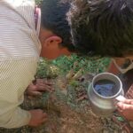 WhatsApp Image 2025-02-08 at 3.22.07 PM